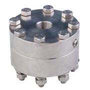 Diaphragm Seal Flush Diaphragm Sanitary Type