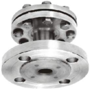 Flanged Diaphragm Seal Insert Type